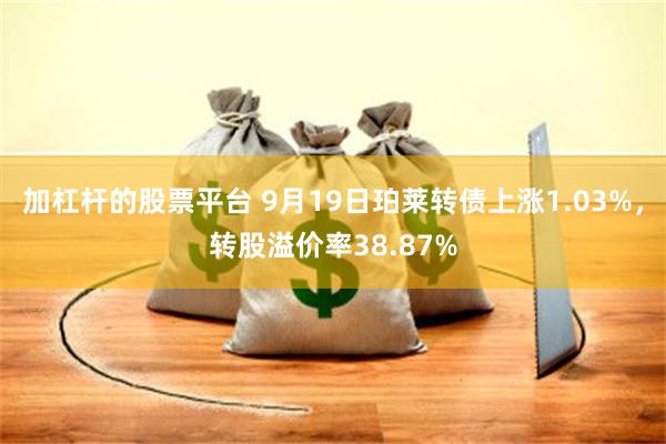 加杠杆的股票平台 9月19日珀莱转债上涨1.03%，转股溢价率38.87%