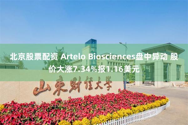 北京股票配资 Artelo Biosciences盘中异动 股价大涨7.34%报1.16美元