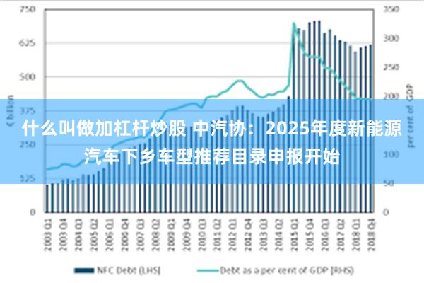 什么叫做加杠杆炒股 中汽协：2025年度新能源汽车下乡车型推荐目录申报开始