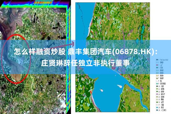 怎么样融资炒股 鼎丰集团汽车(06878.HK)：庄贤琳辞任独立非执行董事