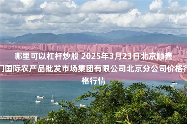 哪里可以杠杆炒股 2025年3月23日北京顺鑫石门国际农产品批发市场集团有限公司北京分公司价格行情