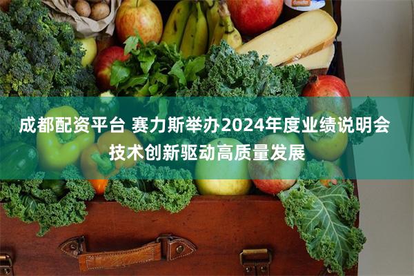 成都配资平台 赛力斯举办2024年度业绩说明会 技术创新驱动高质量发展
