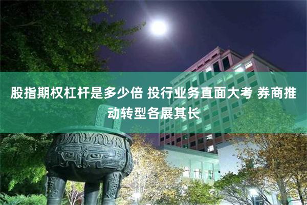 股指期权杠杆是多少倍 投行业务直面大考 券商推动转型各展其长