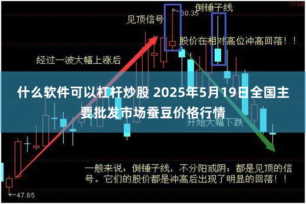 什么软件可以杠杆炒股 2025年5月19日全国主要批发市场蚕豆价格行情
