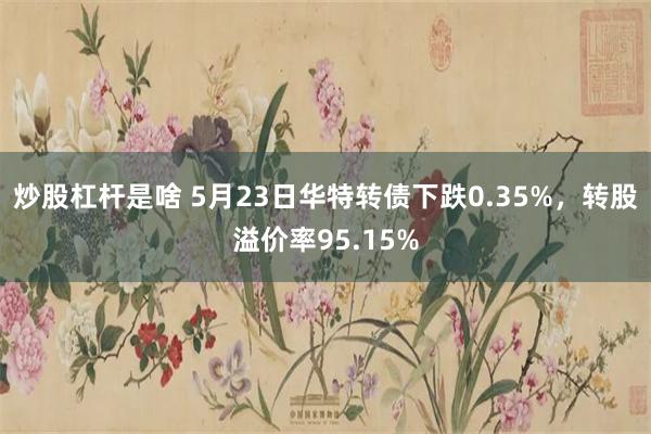 炒股杠杆是啥 5月23日华特转债下跌0.35%，转股溢价率95.15%