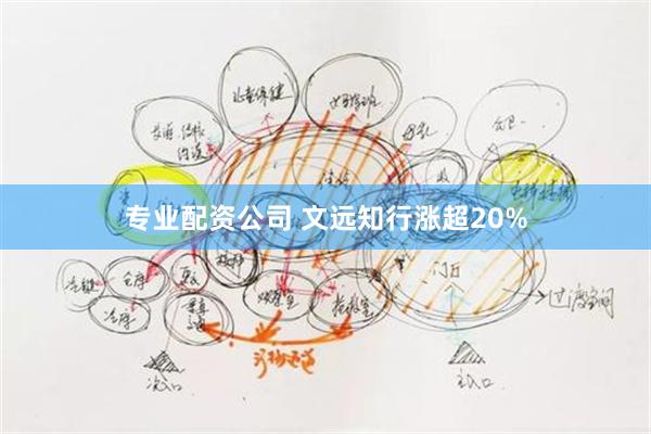 专业配资公司 文远知行涨超20%