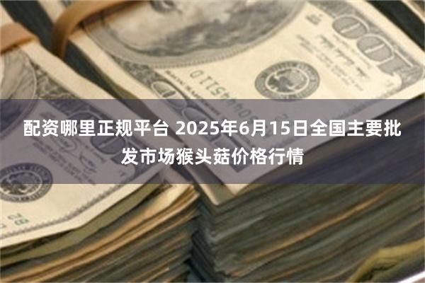 配资哪里正规平台 2025年6月15日全国主要批发市场猴头菇价格行情