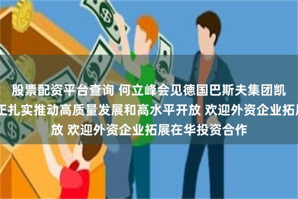 股票配资平台查询 何立峰会见德国巴斯夫集团凯礼时指出 中国正扎实推动高质量发展和高水平开放 欢迎外资企业拓展在华投资合作