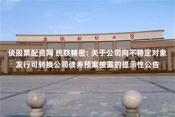 谈股票配资网 统联精密: 关于公司向不特定对象发行可转换公司债券预案披露的提示性公告
