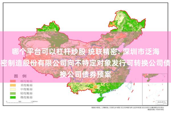 哪个平台可以杠杆炒股 统联精密: 深圳市泛海统联精密制造股份有限公司向不特定对象发行可转换公司债券预案