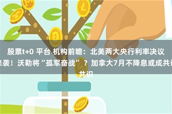股票t+0 平台 机构前瞻：北美两大央行利率决议来袭！沃勒将“孤军奋战” ？加拿大7月不降息或成共识