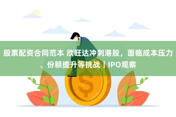 股票配资合同范本 欣旺达冲刺港股，面临成本压力、份额提升等挑战｜IPO观察