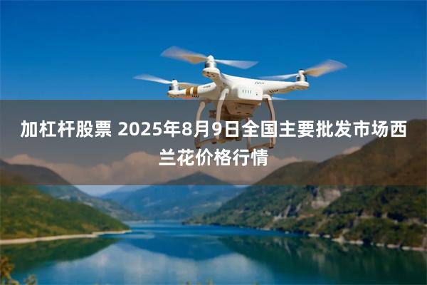 加杠杆股票 2025年8月9日全国主要批发市场西兰花价格行情