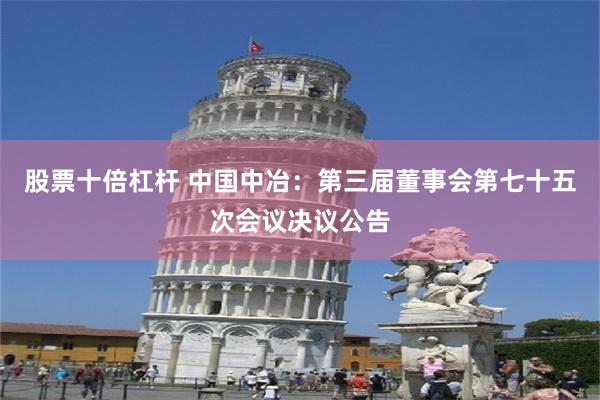 股票十倍杠杆 中国中冶：第三届董事会第七十五次会议决议公告