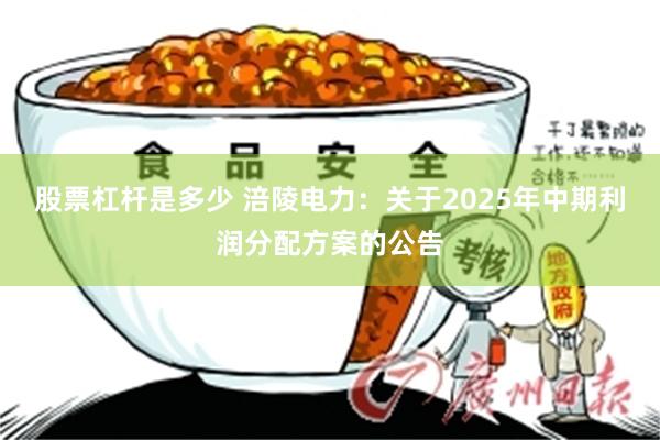 股票杠杆是多少 涪陵电力：关于2025年中期利润分配方案的公告