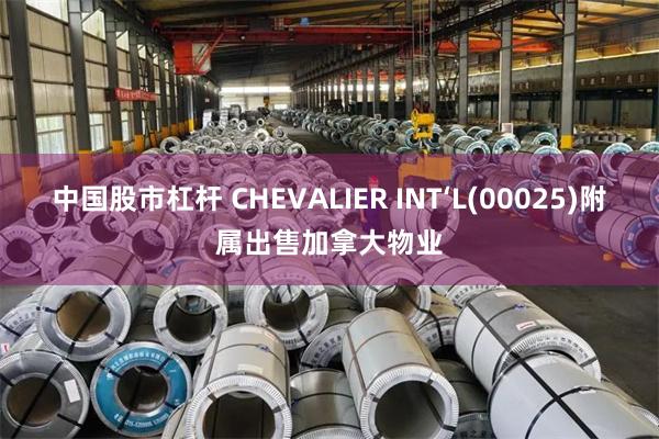 中国股市杠杆 CHEVALIER INT‘L(00025)附属出售加拿大物业